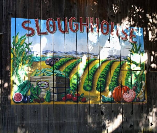 Barn sign for Sloughhouse