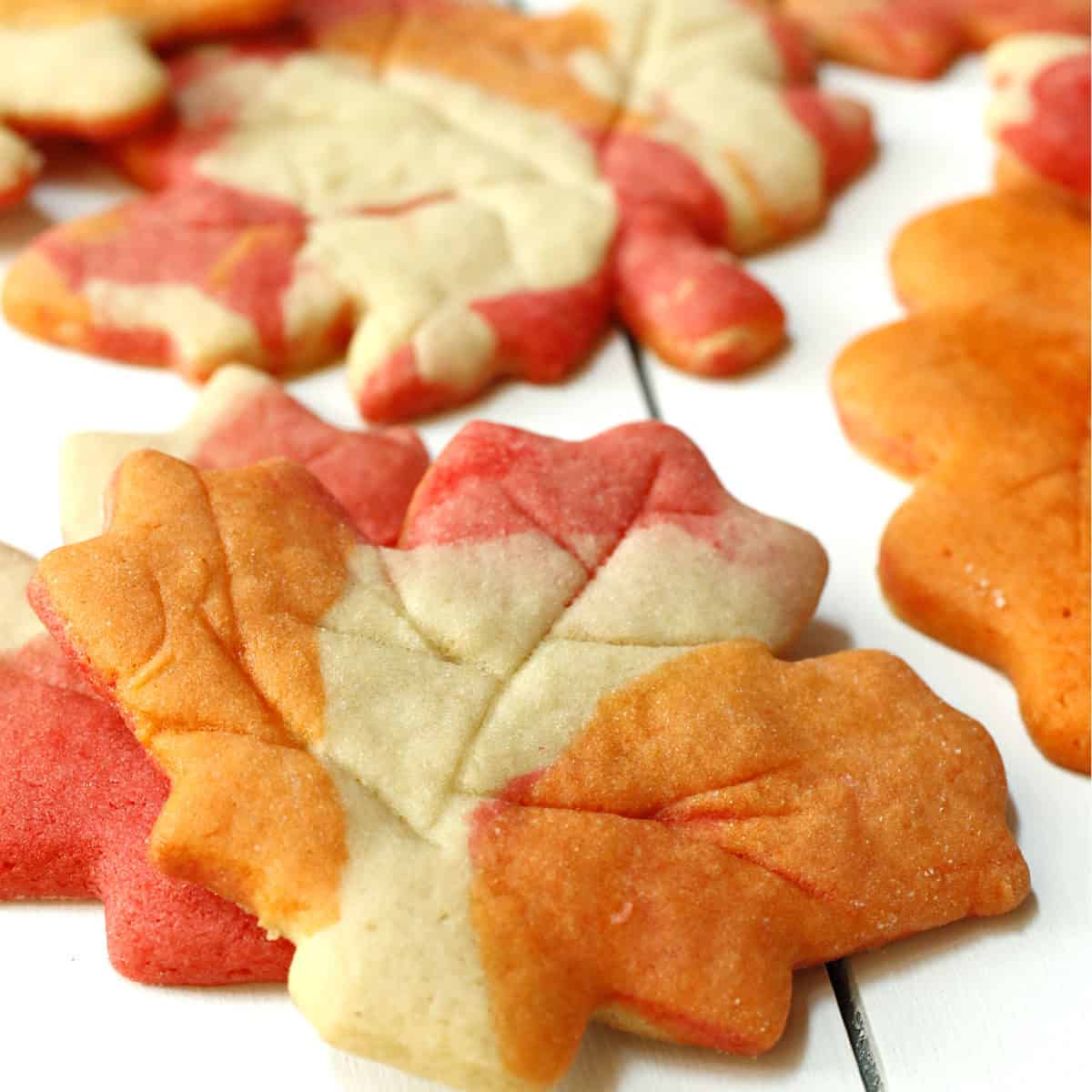 Maple leaf sugar cookies.