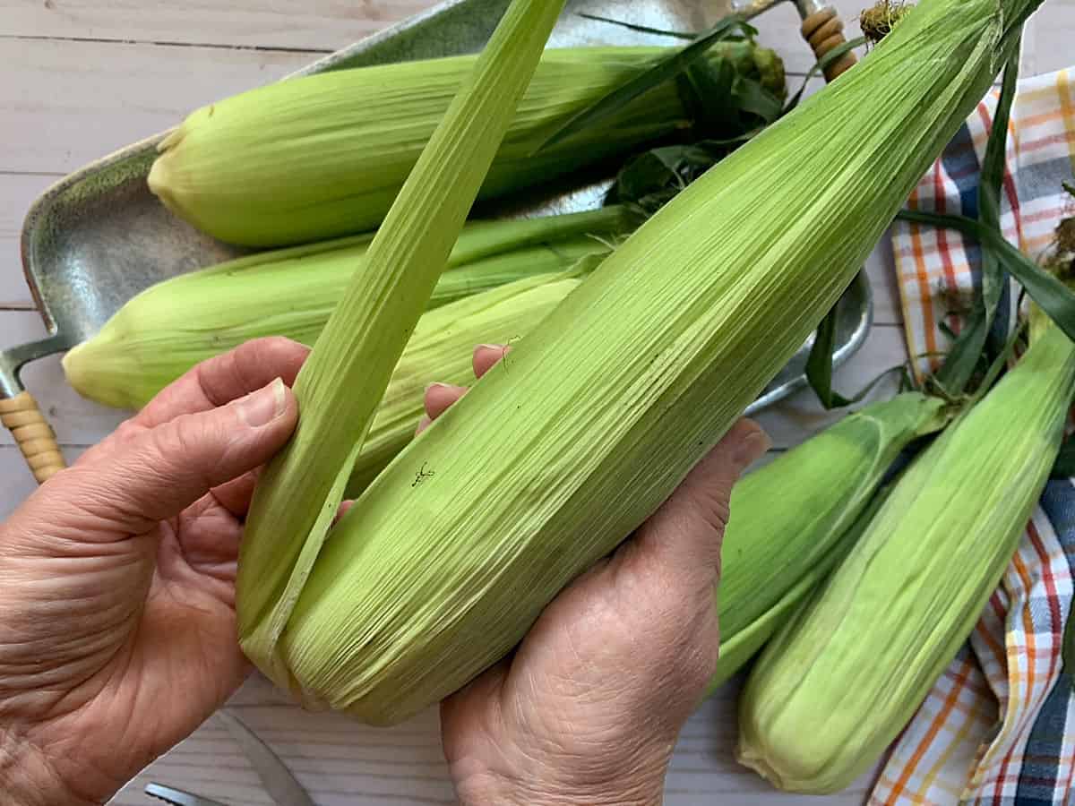 Remove the husks from fresh corn.
