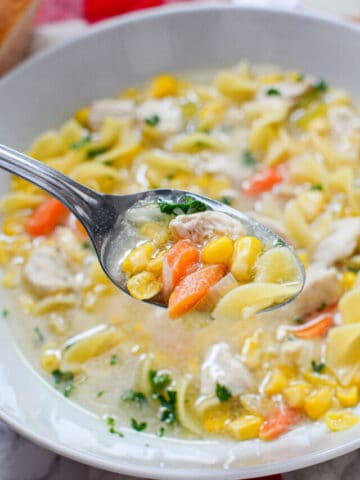 A bowl of veggie chicken noodle soup.