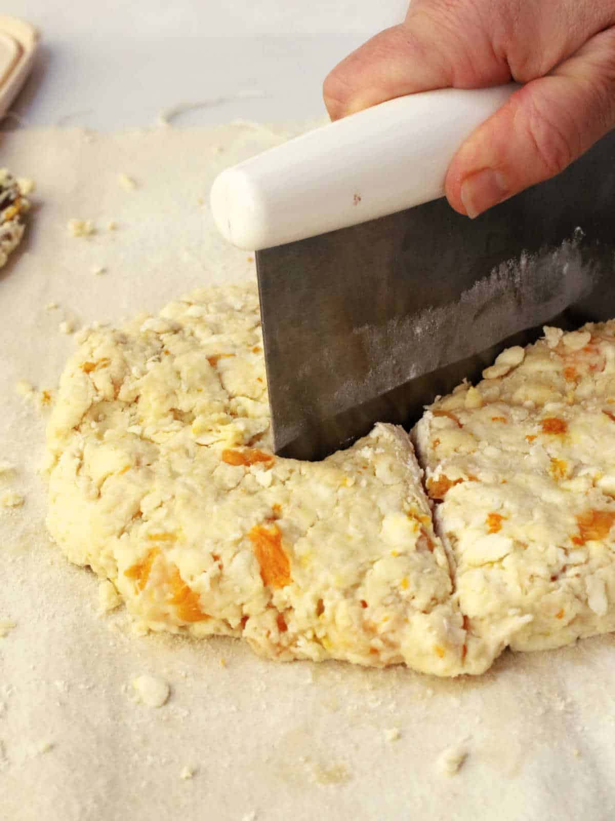 A hand uses a bench scraper to cut a round of scone dough with visible chunks of orange fruit on a floured surface.