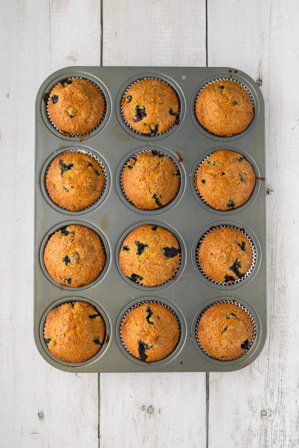 A close-up of blueberry cornmeal muffin showing golden crust and burst blueberries