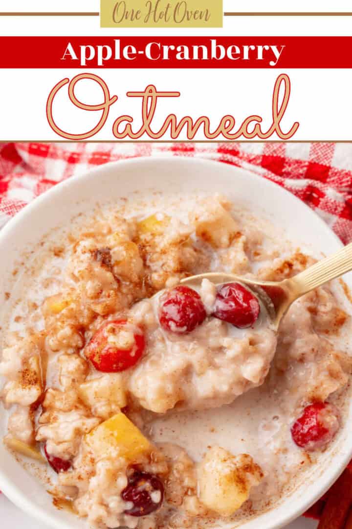 A bowl of oatmeal with apple chunks and cranberries, topped with cinnamon, on a white plate with a spoon and a red checkered cloth underneath.