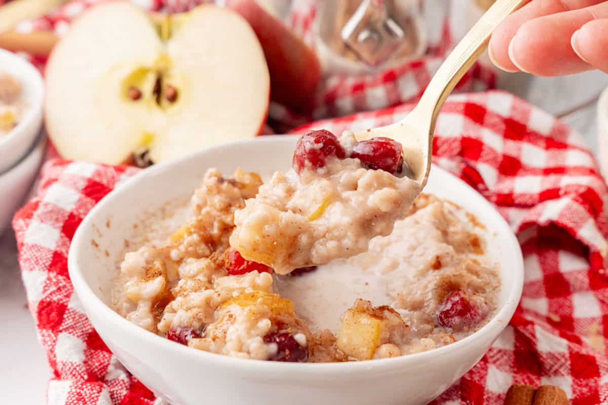 A bowl of oatmeal with apple pieces and cranberries sits on a red checkered cloth; a spoon holds a bite above the bowl. An apple half is in the background.