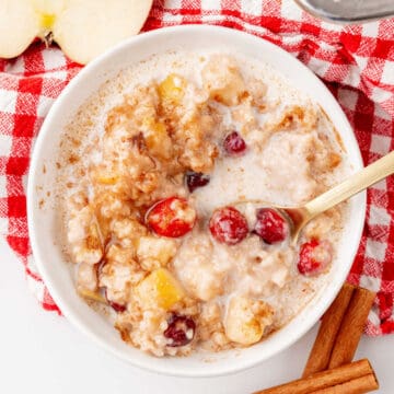 A bowl of oatmeal with apple pieces and cranberries, sprinkled with cinnamon, on a red and white checkered cloth, with a spoon and cinnamon sticks nearby.