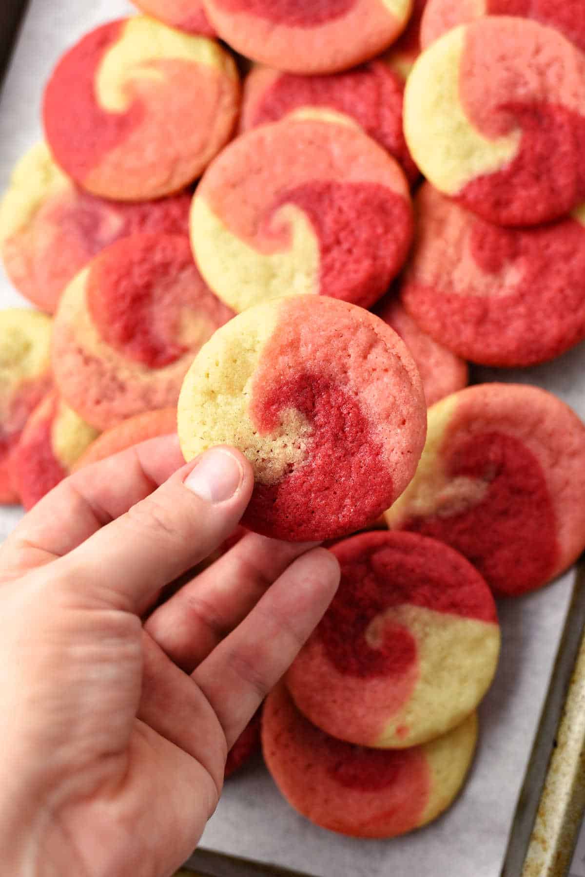 A hand holds a red and yellow swirled cookie above a tray filled with similar cookies.