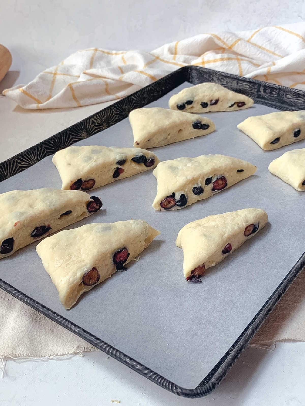 Unbaked, triangular blueberry scones arranged on a parchment-lined baking sheet, ready to go into the oven.