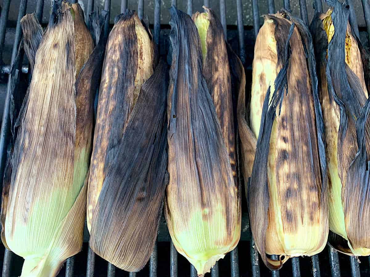 Six ears of corn with husks partially charred are grilling on a barbecue.