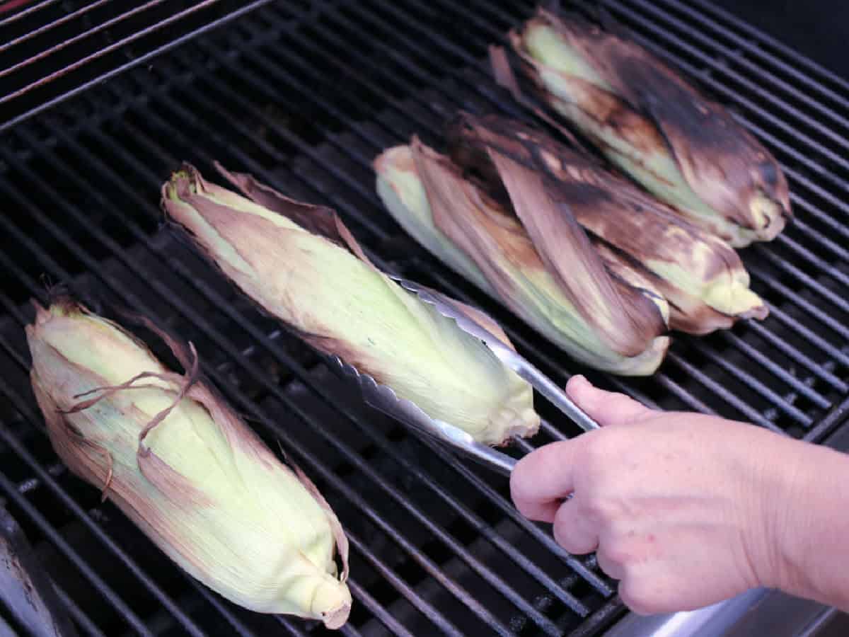 A person uses tongs to turn corn on the cob in husks while grilling several ears of corn on an outdoor barbecue grill.